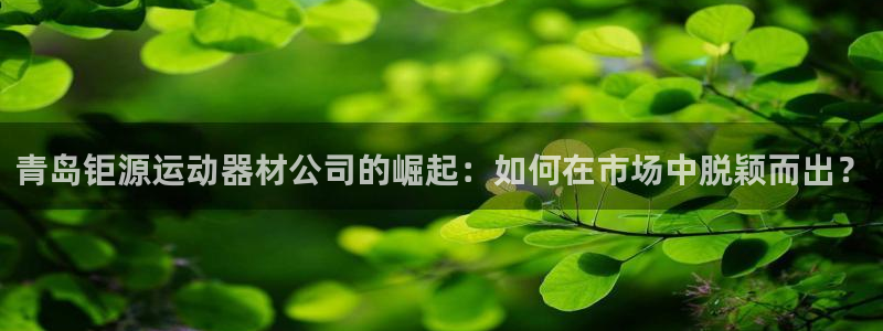 好博体育官方正版app娱乐平台：青岛钜源运动器材公司的崛起：