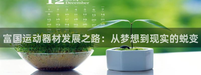好博体育官方正版app娱乐是那个系列的台子：富国运动器材发展