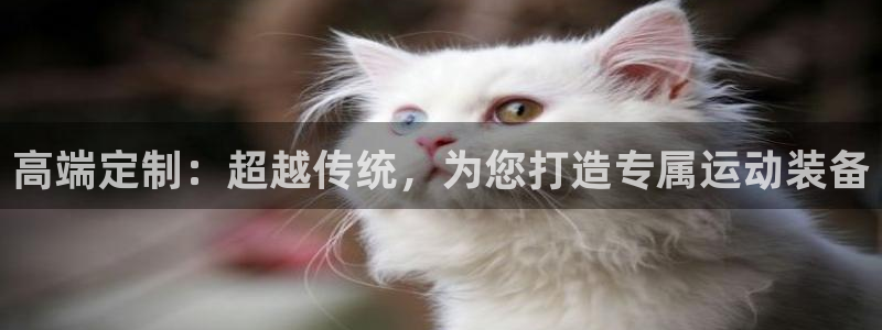 好博体育官方正版app集团官网首页：高端定制：超越传统，为您