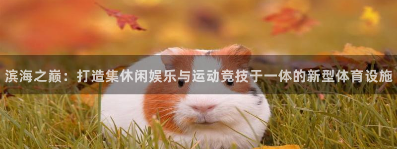 好博体育官网下载平台注册要钱吗：滨海之巅：打造集休闲娱乐与运