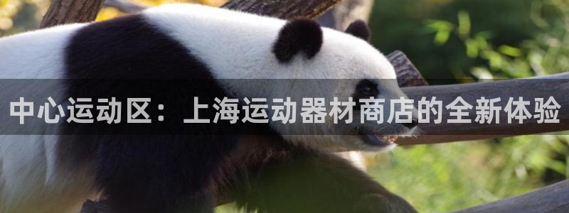 好博体育官方正版app集团简介：中心运动区：上海运动