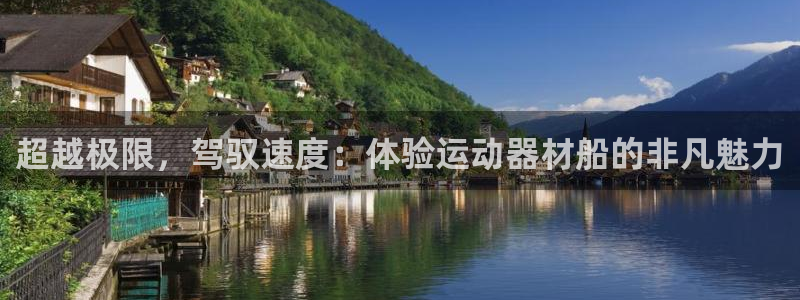 好博体育官方正版app集团logo