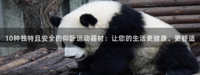 好博体育官网下载软件：10种独特且安全的仰卧运动器材：让您的