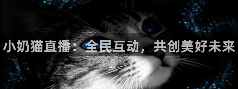 玩球直播在线：小奶猫直播：全民互动，共创美好未来