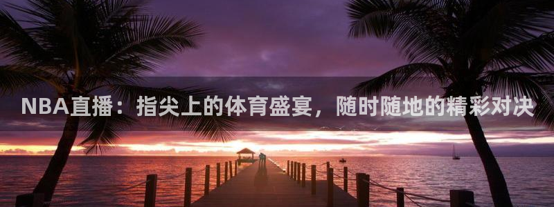 玩球直播看比赛：NBA直播：指尖上的体育盛宴，随时随地的精彩对决