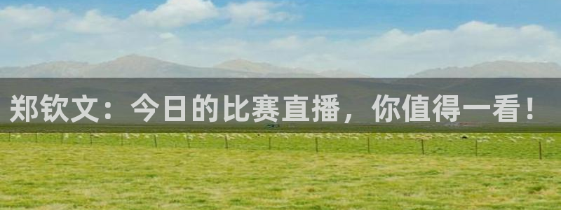 玩球直播官网nba直播免费观看：郑钦文：今日的比赛直播，你值得一看！