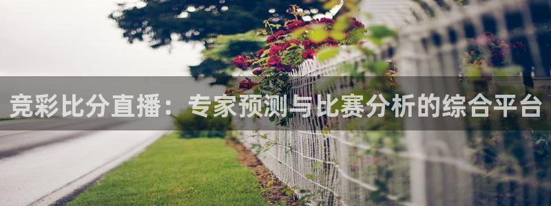 玩球球视频：竞彩比分直播：专家预测与比赛分析的综合平台