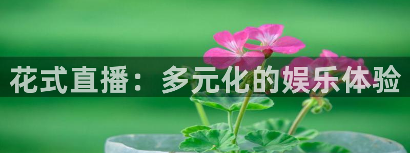 玩球nba直播：花式直播：多元化的娱乐体验